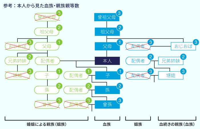 参考:本人から見た血族・親族親等数